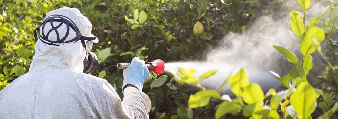 DISINFESTAZIONI MODENA